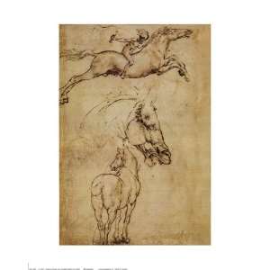 Sketch of a Horse by Leonardo Da Vinci 16x20  Kitchen 