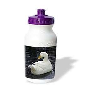  Farm Animals   White Pekin Duck   Water Bottles Sports 