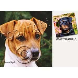  Jack Russell Terrier Dog Drink Coasters