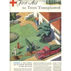  DOW First Aid to Trees Full Page Magazine Ad 1930s 