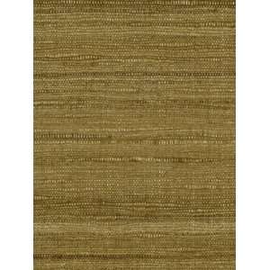  Aussie Hazelnut by Robert Allen Fabric