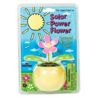 Solar Powered Dancing Flower Toy   Office Desk Accessory (Assorted)