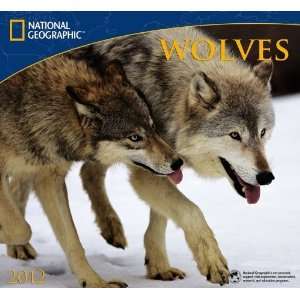  2012 Wolves   National Geographic Wall calendar [Calendar 
