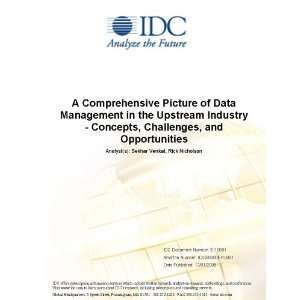  A Comprehensive Picture of Data Management in the Upstream 
