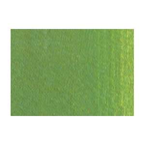   Winton Oil Color   200 ml Tube   Chrome Oxide Green