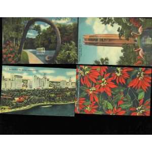VINTAGE   LINEN** postcards from FLORIDA; Silver Springs, Miami 