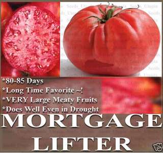 15 MORTGAGE LIFTER HEIRLOOM Tomato Seeds HUGE FRUITS ~ Slice size of a 