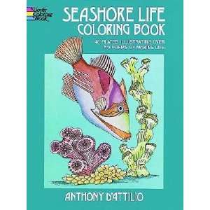    Seashore Life Coloring Book [COLOR BK SEASHORE LIFE COL  OS] Books
