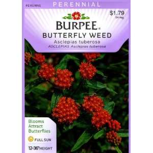  Burpee 41772 Butterfly Weed Asclepias tuberosa Seed Packet 