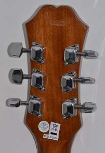 Epiphone PR 150 VS Acoustic Guitar Luthier Project w Tuners  