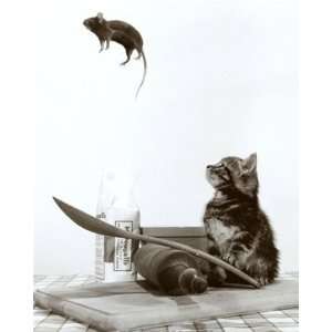   Cat Mouse College Humour Poster Print 16 x 20 inches