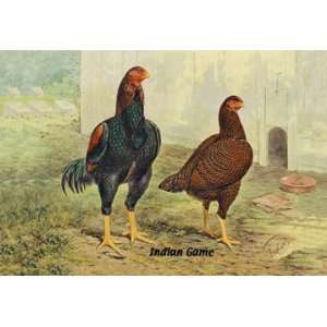  Indian Game (Chickens) 24x36 Giclee