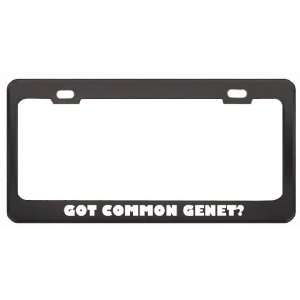 Got Common Genet? Animals Pets Black Metal License Plate Frame Holder 