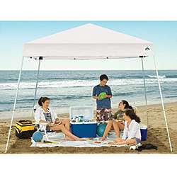 Cirrus 2 10x10 foot White Canopy Tent Kit  