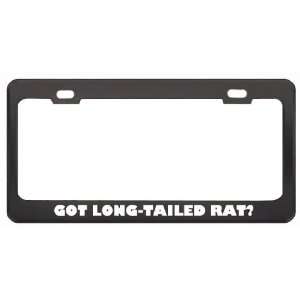 Got Long Tailed Rat? Animals Pets Black Metal License Plate Frame 