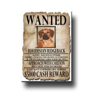 RHODESIAN RIDGEBACK Wanted Poster FRIDGE MAGNET New DOG  