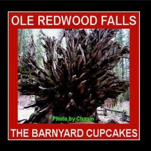  Ole Redwood Falls The Barnyard Cupcakes Music