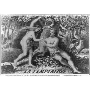    La Temptation Adam & Eve, Tobacco Package Label