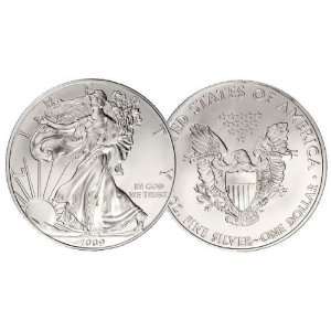  American Silver Eagle Coin   Current Year 
