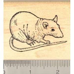  Hairless Rat Rubber Stamp Arts, Crafts & Sewing