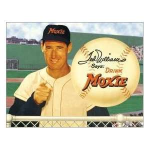  Ted Williams Baseball Tin Sign #571 