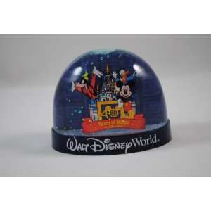   Walt Disney World 40th Anniversary Dome Snow Globe