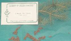     Black Seed Pack, Fast Growing Flowering Shrub Plants, Gifts & Ads