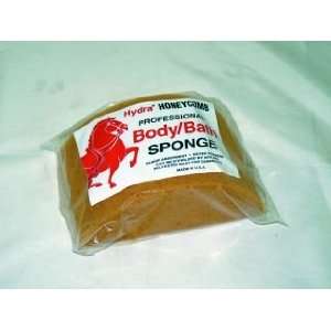    Honeycomb body sponge Large [Misc.] [Misc.]