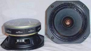 Audio Nirvana Super 6.5 Fullrange Speakers Pair  