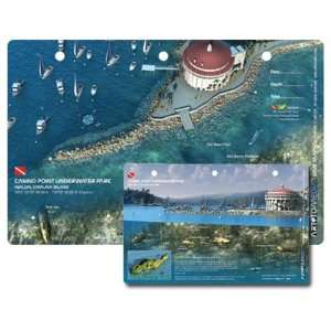   Dive Site in Catalina, Avalon Waterproof 3D Dive Site Card Sports