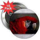 Artsmith Inc 2.25 Button (10 Pack) Scarlet Macaw   Bird
