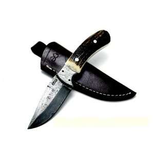 Acuta Damascus Skinner Knife 