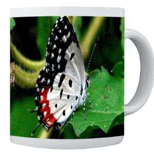   Design Photo Quality 11 oz Ceramic Coffee Mug cup