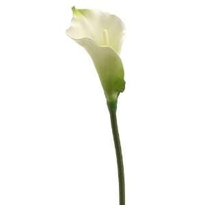  Faux 30 Calla Lily Stem White (Pack of 12) Patio, Lawn 