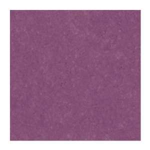   Wallcoverings PX8902 Color Expressions Texture Wallpaper, Purple Grape