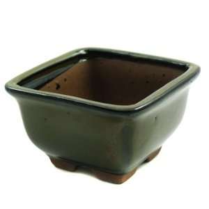   Happy Bonsai Green Square Glazed Pot 2 Height Patio, Lawn & Garden