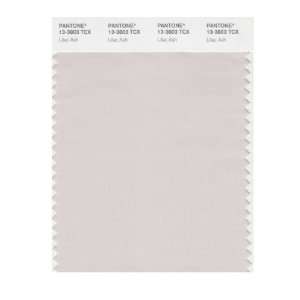  PANTONE SMART 13 3803X Color Swatch Card, Lilac Ash