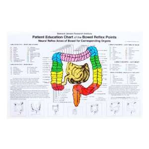     Patient Chart for Bowel Reflex Points   11 x 17 