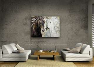 black and white arabian horse duet horse art collection painted