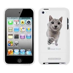  Chartreux on iPod Touch 4g Greatshield Case  Players 