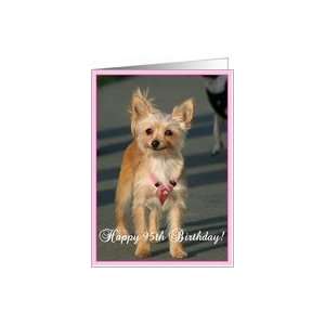  Happy 95th Birthday Chihuahua Dog Card Toys & Games