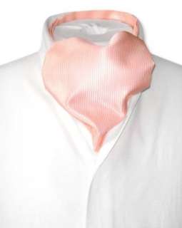   Antonio Ricci ASCOT Solid PEACH Color Cravat Mens Neck Tie Clothing