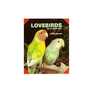  Lovebirds As A New Pet