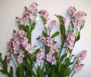 12 Stems Forget Me Nots Pink Artifical Silk Flowers  