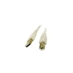  Cables To Go 2m USB 2.0 A/B Cable   White Electronics