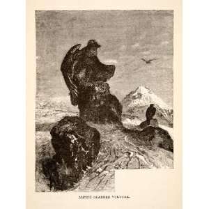  1881 Wood Engraving Alpine Bearded Vulture Switzerland 