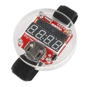  BigTime Watch Kit Electronics
