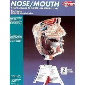  Nose and Mouth by Skilcraft Toys & Games