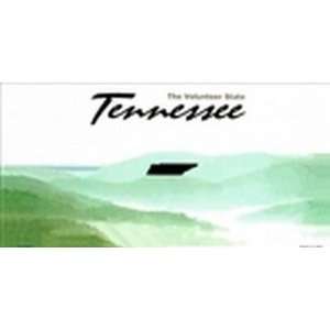 Tennessee State Background Blanks FLAT   Automotive License Plates 