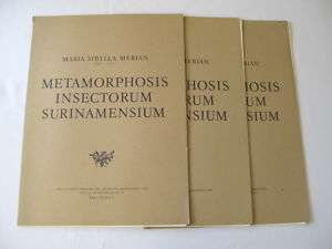 METAMORPHOSIS INSECTORUM SURINAMENSIUM   M. S. MERIAN  